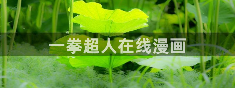 虫虫漫画在线阅读页面免费漫画入口页面弹窗漫画26：一拳超人在线漫画