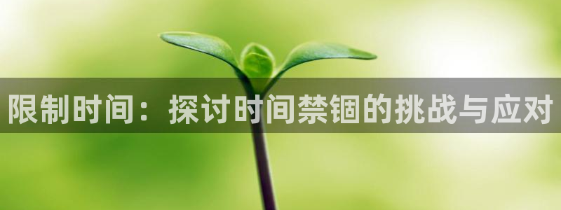 虫虫漫画r18：限制时间：探讨时间禁锢的挑战与应对