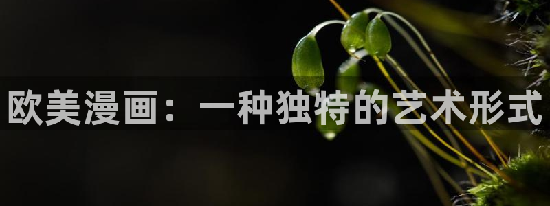 虫虫漫画弹窗页面免费观看：欧美漫画：一种独特的艺术形式