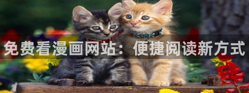 虫虫漫画免费阅读下拉式漫画星球 漫画：免费看漫画网站：便捷阅读新方式