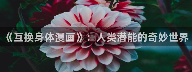 虫虫漫画免费观看韩漫：《互换身体漫画》：人类潜能的奇妙世界