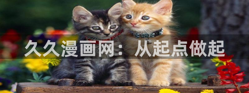 虫虫漫画寄宿：久久漫画网：从起点做起