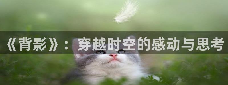 虫虫漫画入口免费观看