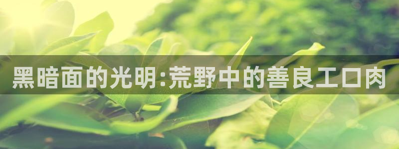 虫虫漫画末日中的母亲