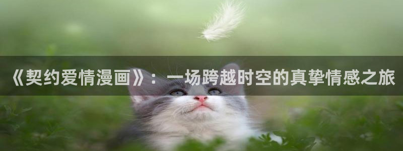 妖精漫画虫虫漫画免费：《契约爱情漫画》：一场跨越时空的真挚情感之旅