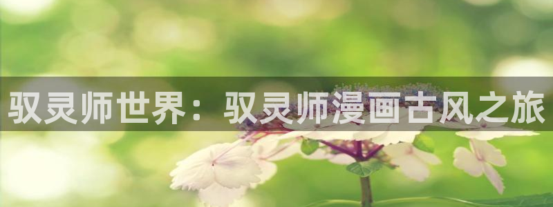 虫虫漫画页面免费漫画在线观看网站：驭灵师世界：驭灵师漫画古风之旅