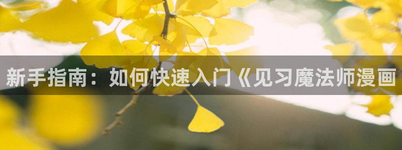 虫虫漫画网页版入口：新手指南：如何快速入门《见习魔法师漫画